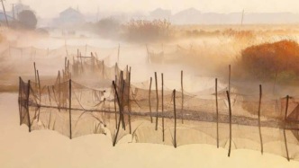 總要去一趟陽澄湖吧