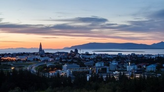 人類最后的凈土淪陷了？冰島首次發(fā)現(xiàn)蚊子！