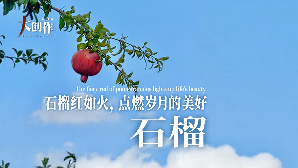 中国艺术品牌联盟丨陈琪·石榴