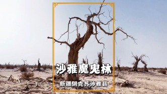 秋游新疆阿克蘇，探秘沙雅魔鬼林，領(lǐng)略死而千年不倒的胡楊精神