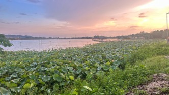 全球股市遭遇黑色星期二，牛市步入尾聲了嗎？