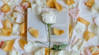 创作2集后合同终止，编剧仍享有署名权吗？