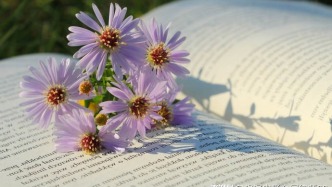 哪類合同名為合作拍攝實(shí)為承制關(guān)系？