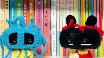 75岁外婆织小毛衣给家中摄像头穿，老人：你们穿上衣服就不冷了