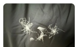 300元以下買不到真羽絨？要看這些指標(biāo)……