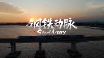 聚焦G20非洲時(shí)刻｜鋼鐵動(dòng)脈：編織中尼互聯(lián)互通交通網(wǎng)