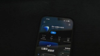 蚂蚁“灵光”初现