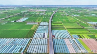 常德汉寿县：拎稳“菜篮子” 鼓起“钱袋子”