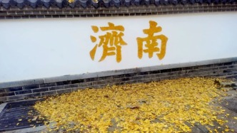 落葉變“寶藏”！公園景區(qū)解鎖秋冬限定浪漫