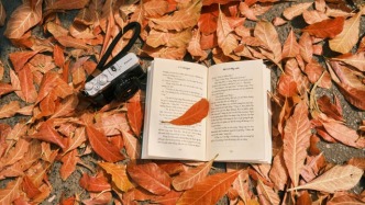 未修改滿五次，委托方可否行使法定解除權(quán)？