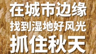 抓住乌鲁木齐的秋天