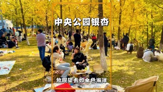 實(shí)拍重慶中央公園銀杏林，一片金黃如童話世界，游客已蜂擁而至