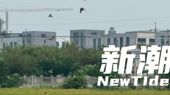 我在全中国老龄化最严重的地方，观察农村老人再就业