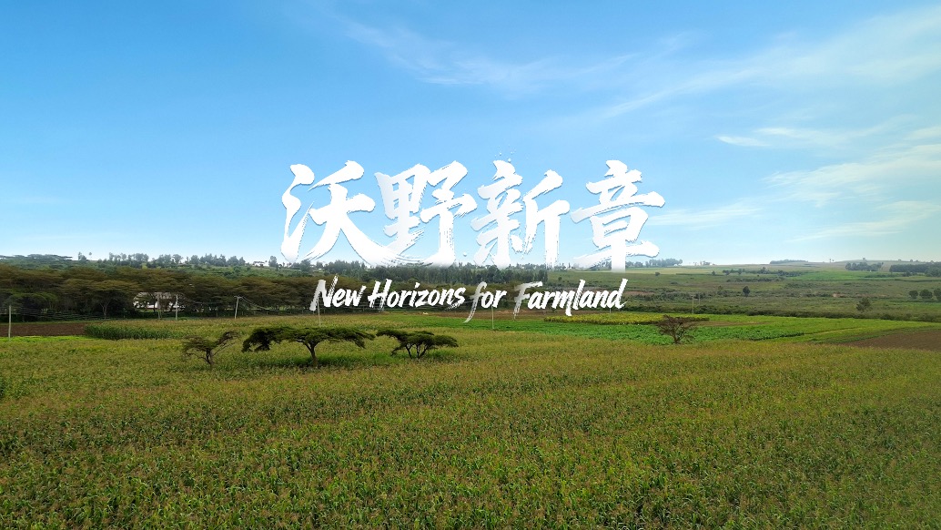 何以为帆非洲篇｜沃野新章：从南京到埃格顿的三十年携手