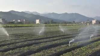 目標(biāo)產(chǎn)量26.22萬噸！最近，肇慶這些人又忙起來了