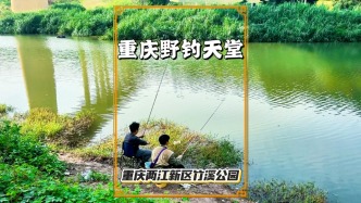 重慶兩江新區(qū)的野釣天堂，每天釣者云集，盡情享受揮竿樂趣