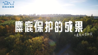 麋鹿回家40載：麋鹿保護(hù)的實(shí)踐成果