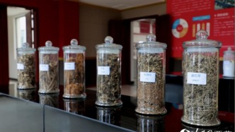 拉薩尼木：探訪傳承、創(chuàng)新與發(fā)展的藏香故事