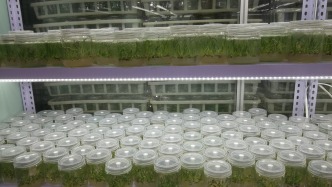 青藏科考“卷”出新高度：別人寫日記，我們玩轉(zhuǎn)大數(shù)據(jù)