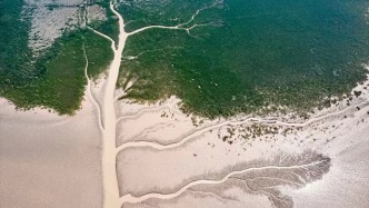 來東營，從從容容游刃有余！