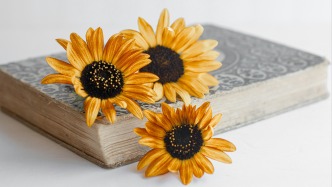 定剪權(quán)歸誰？合同約定與行業(yè)慣例沖突，以何為準(zhǔn)？