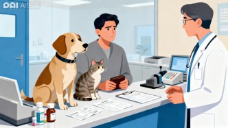宠物看病比人还贵？解码“天价账单”背后的真相与未来