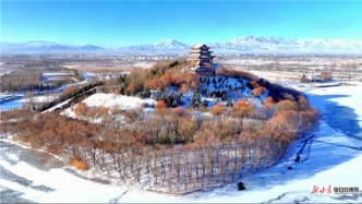 雪落臨澤添冬韻　戲水天鵝畫中畫