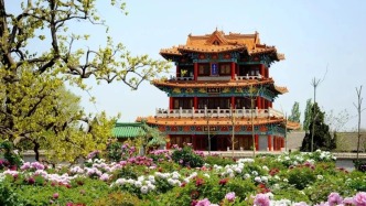 黄河岸边的国色天香——菏泽最值得去的N个神仙地方