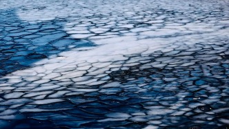 长春惊现“龙鳞”！绝非人工