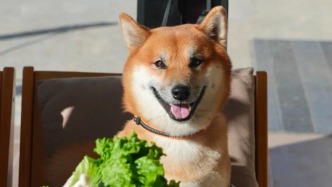 烏魯木齊城里的咖啡你都喝過(guò)了，除了村里這11杯