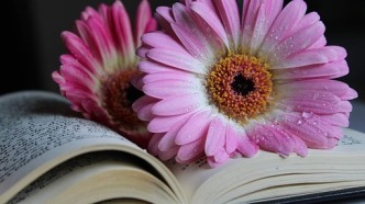 劇本被多次“白嫖”修改后遭解約，甲方就沒(méi)錯(cuò)嗎？