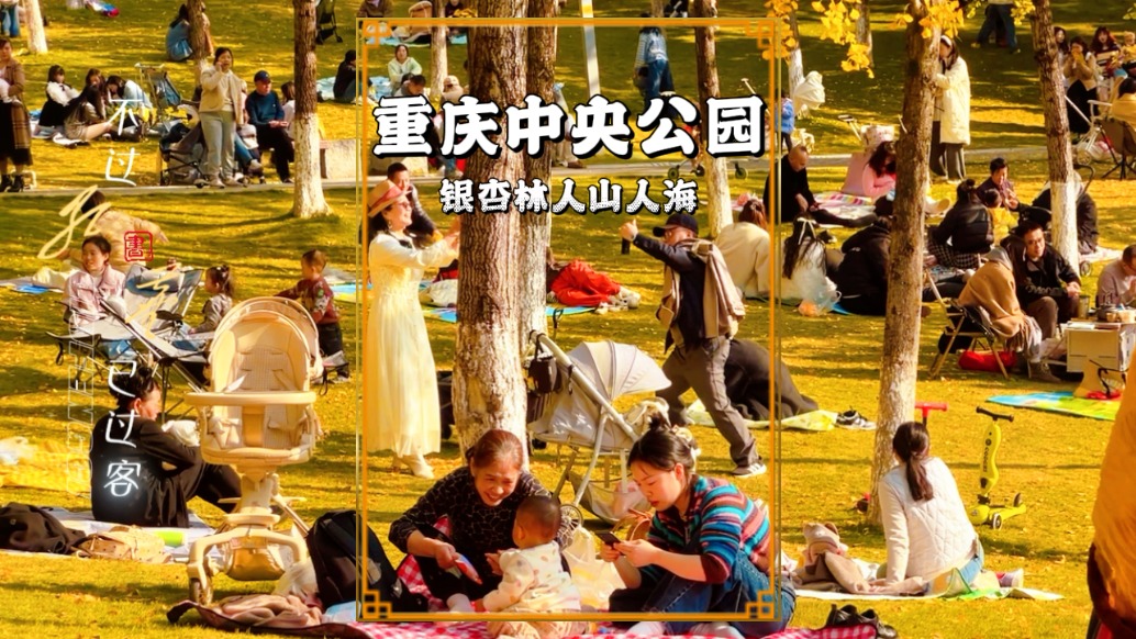 重慶中央公園銀杏林下長(zhǎng)滿了游客，大家沉浸式感受秋日浪漫與溫情