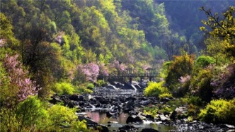 隴南冬春游重磅福利！四大門票優(yōu)惠讓你“超值”“玩美”游隴南