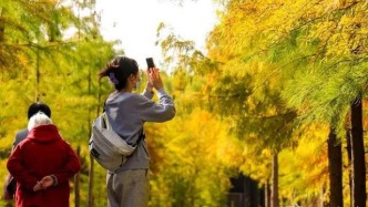 又到一年賞景時(shí)，西沙濕地正“上妝”