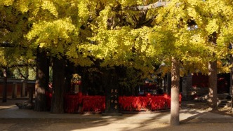 山東日照：厚植文脈底蘊 蓄勢突破發(fā)展