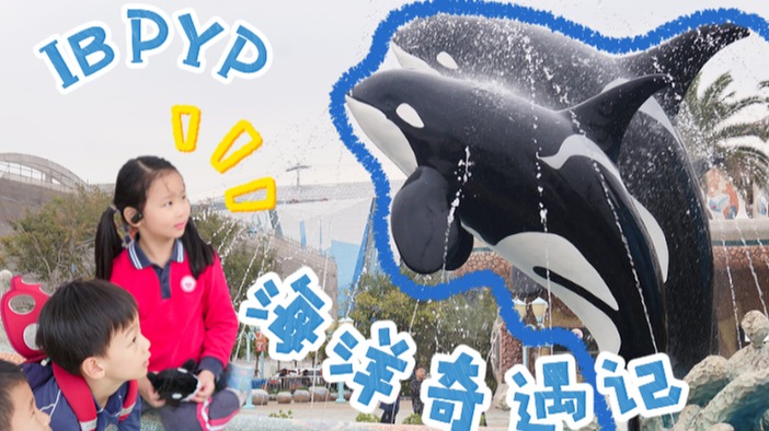 IB PYP海洋奇遇記