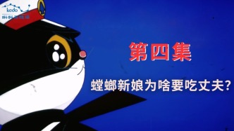 童年动画大科普：螳螂新娘为什么要吃掉新郎？