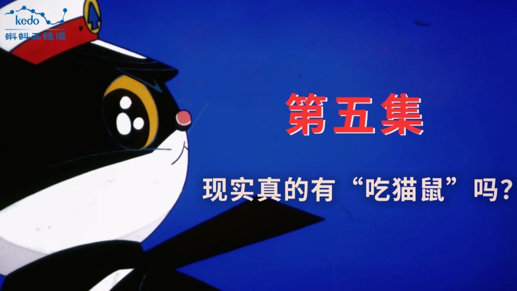 童年动画大科普:现实里真的有“吃猫鼠”吗?