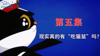 童年動畫大科普：現(xiàn)實(shí)里真的有“吃貓鼠”嗎？