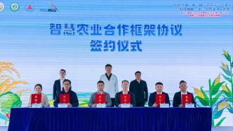 直擊佛山智慧農(nóng)業(yè)秀：機(jī)器人田間“巡診”，甜玉米竟可生吃！