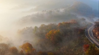 山東日照：冬季調(diào)色盤繪就浪漫詩意