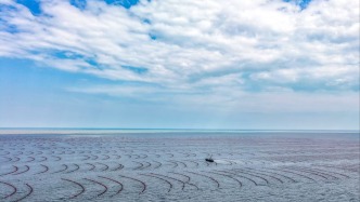山東日照：從“靠海吃?！钡健翱茖W(xué)耕?！钡能S升