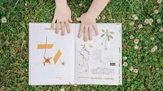 版權(quán)聲明“卡脖子”，影視項目停擺，守約方只能干等？