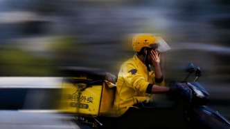 貓狗消得“團”憔悴