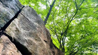 嶧州印象 | 一念秋風(fēng) 一念相思