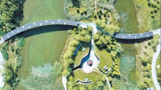 能源類央企加速集聚雄安