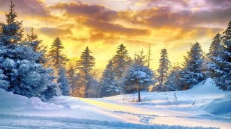 這才是真正的林海雪原！漫山雪凇勾勒北國夢境