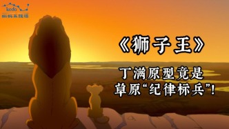 童年動畫大科普《獅子王》| 丁滿原型竟是草原 “紀(jì)律標(biāo)兵”！