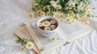 編劇能否以劇集反復(fù)更改為由停止創(chuàng)作？