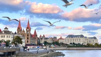 治愈天花板！快来“鸥”遇冬日山东